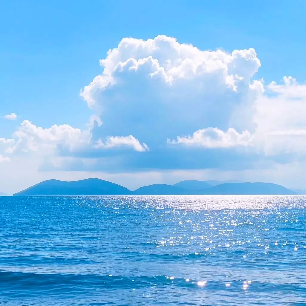 ตู่ นันทิดา avatar